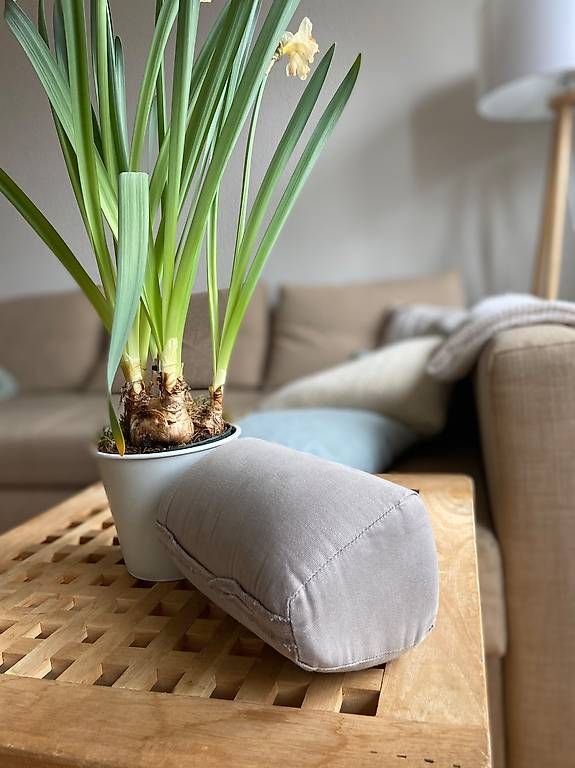 Ikea Divani: Friheten Eckbettsofa IKEA – Usato da Bern venduto da E111 1