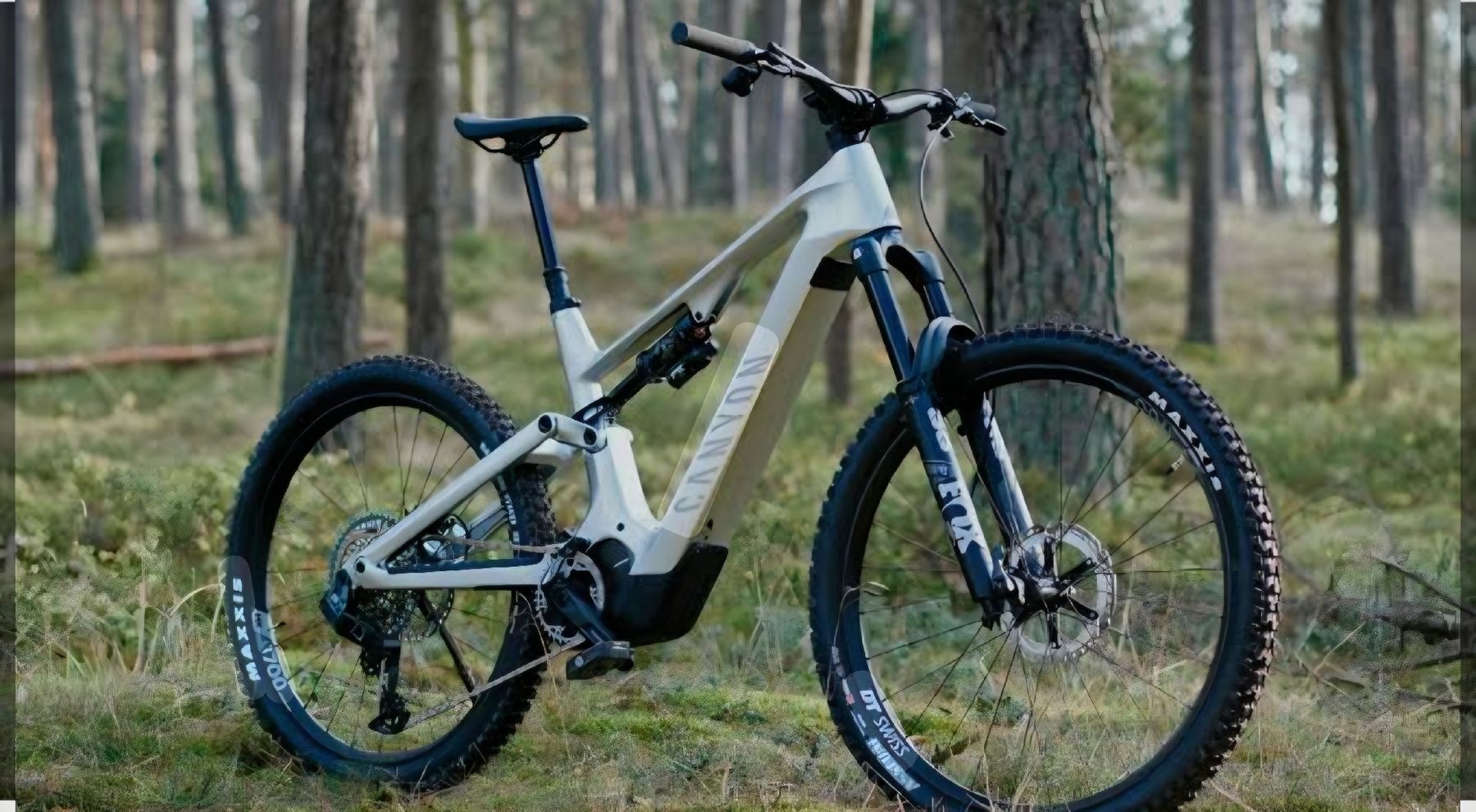 Canyon Biciclette: Canyon Spectral cf9 – Nuovo (secondo la descrizione) da Dänikon ZH venduto da Danielpvz