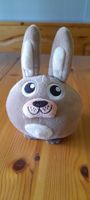 Hase