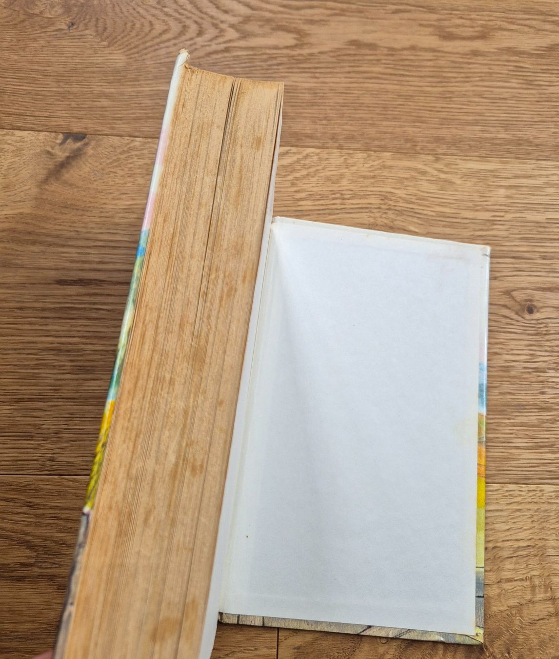 Libri: Lesebuch (Heidi) – Usato da Gams venduto da tischi97 4