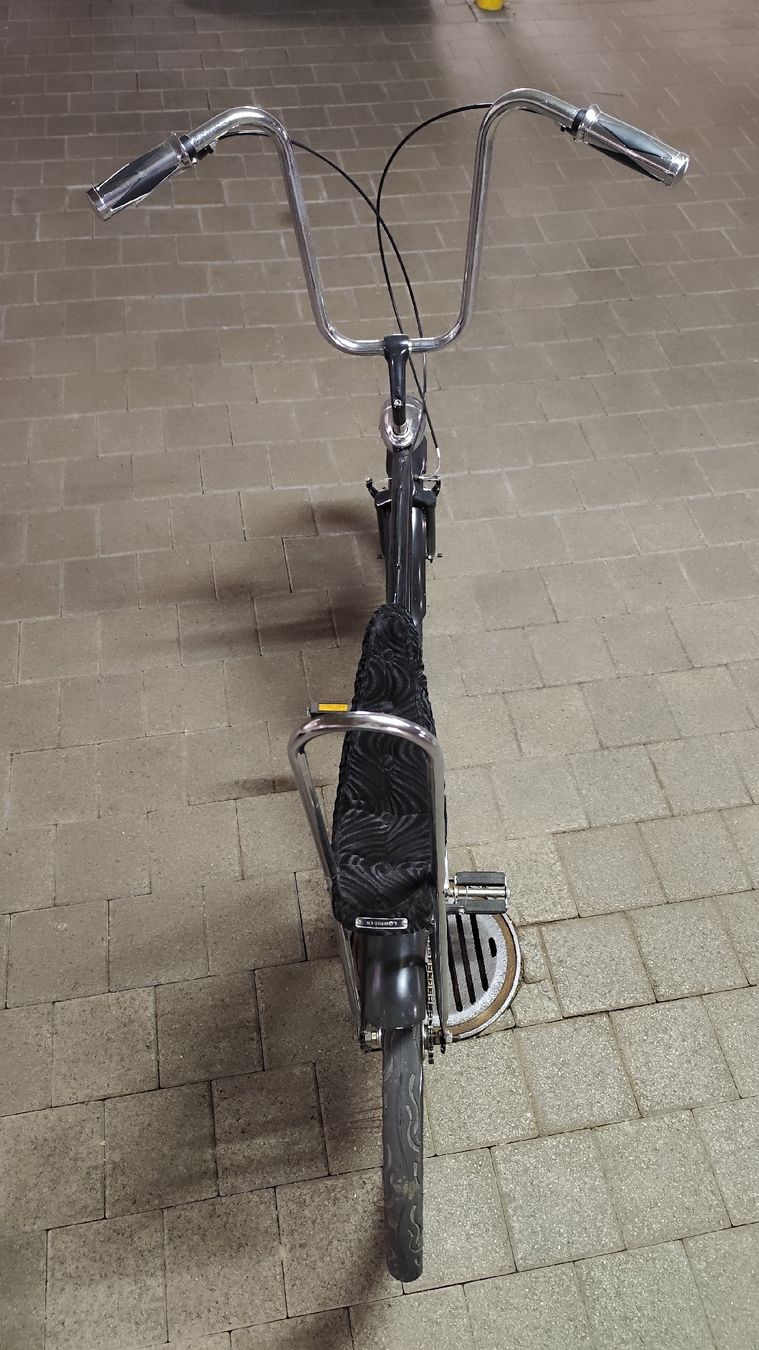 Velos: Custom Bike – Gebraucht aus Fehraltorf von Welltea73 2