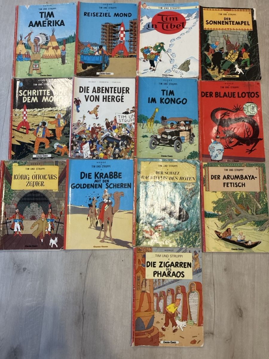 Fumetti: Tim und Struppi – Usato da Oberrindal venduto da Darmando