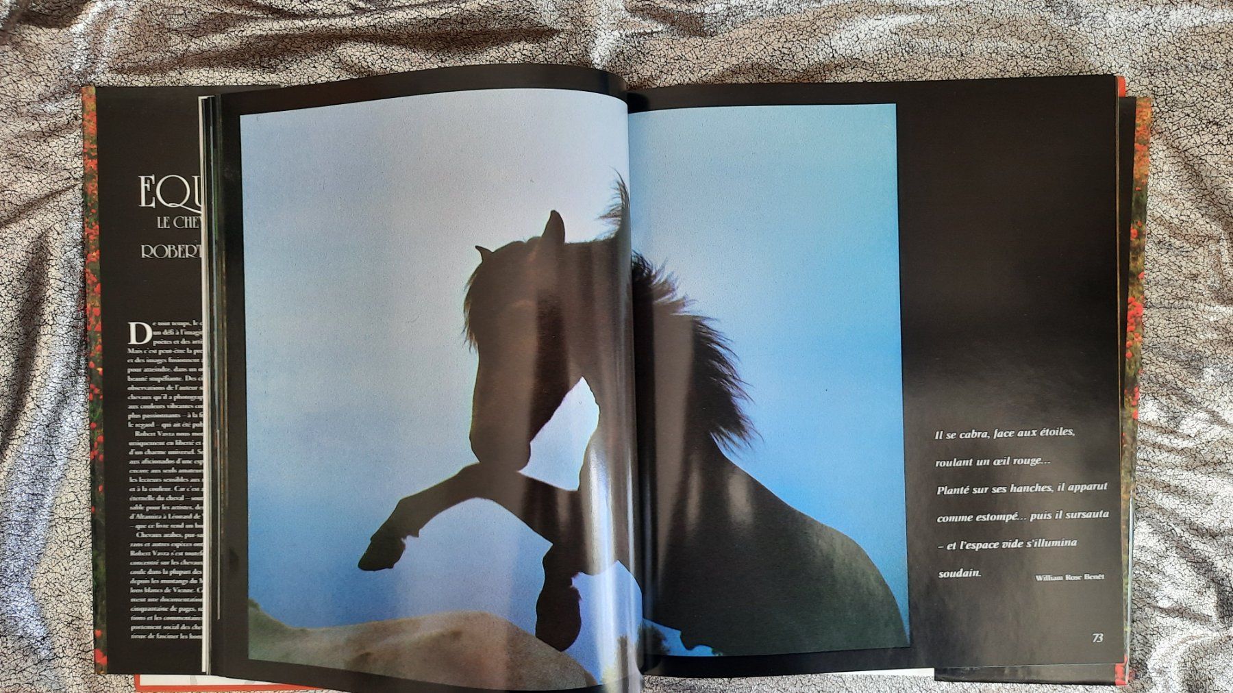 Libri: EQUUS le cheval nu - ROBERT VAVRA – Usato da Lausanne venduto da BrigitteAnne 1