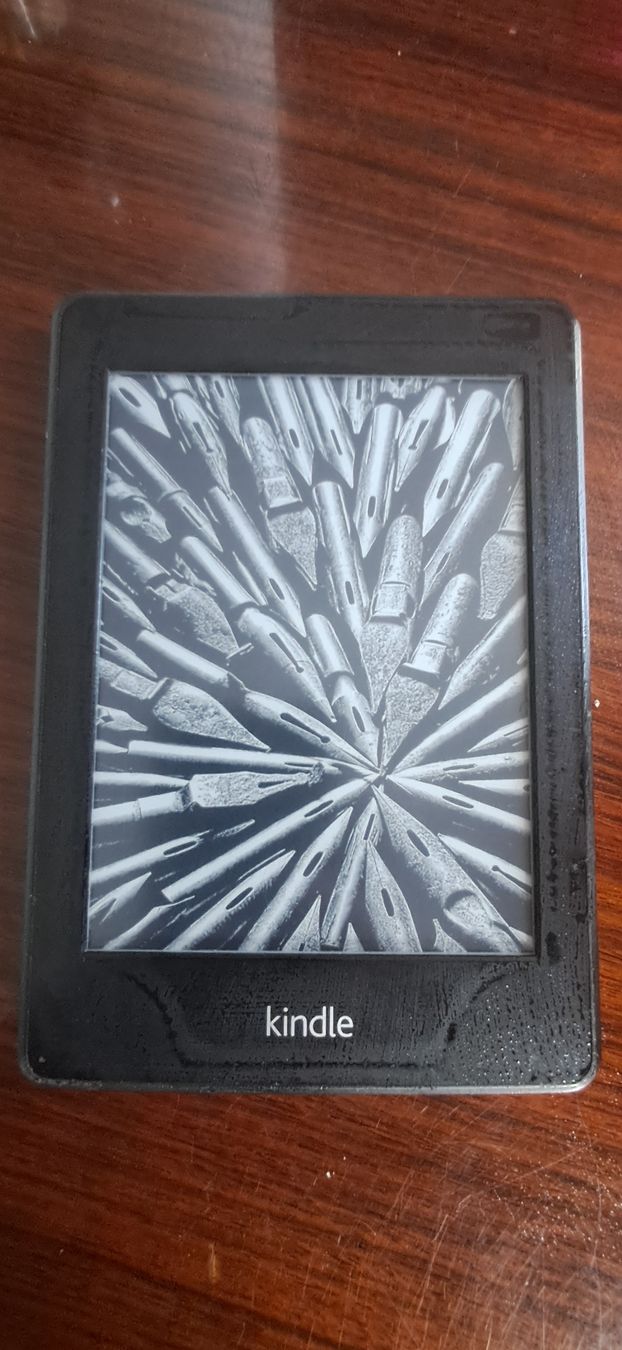 Amazon Tablet PC: kindle 5 – Usato da Palézieux venduto da ali_j9rr
