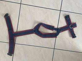 anny·x Hundegeschirr, bordeaux/marine, neuwertig , Größe M,