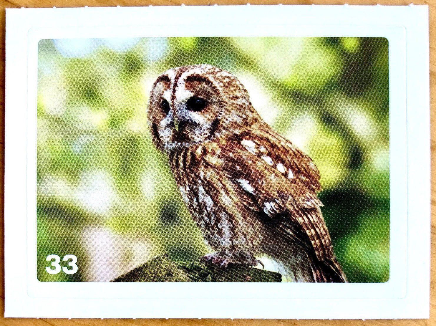 Migros Carte collezionabili: Migros Nature Detectives - Bild Nr. 33 – Nuovo (secondo la descrizione) da Oberrieden venduto da Zimmerberg10