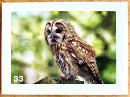 Migros Nature Detectives - Bild Nr. 33