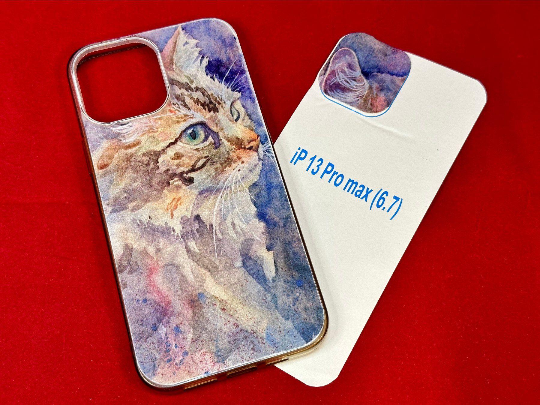 Apple Covers & Schutzfolien: Cover für iPhone 13 Pro Max – Gebraucht aus Egolzwil von Bubbly76