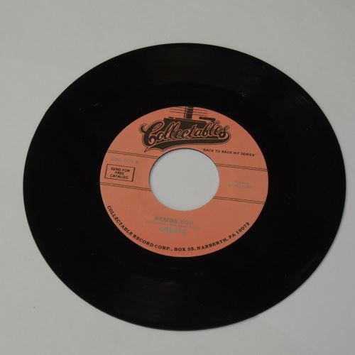 Dischi in vinile: CRESTS – Nuovo (secondo la descrizione) da Schalunen venduto da schwabspielautomaten