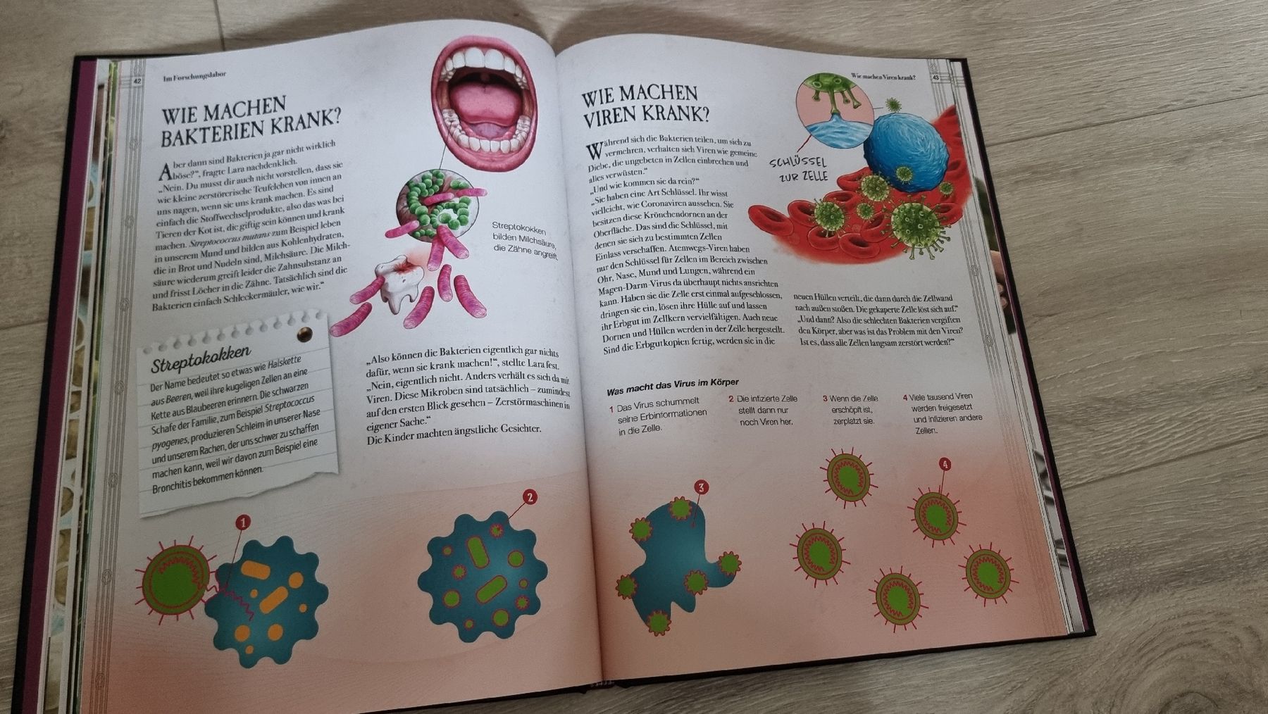 Libri: Verborgene Welten des Mikrokosmus – Nuovo (secondo la descrizione) da Wigoltingen venduto da Zuckerfee84 2