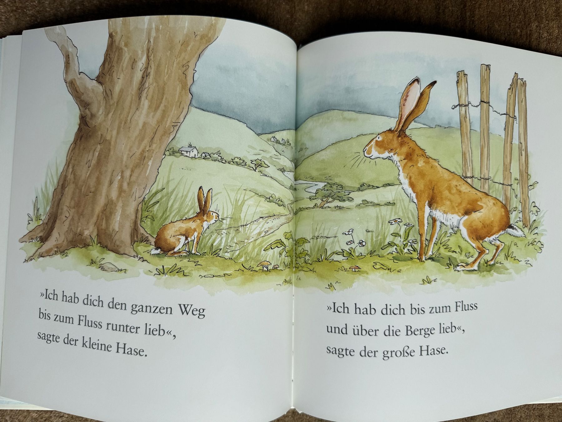 Bücher: Weisst du eigentlich wie lieb ich dich hab? – Neu (gemäss Beschreibung) aus Aarau von Kilauea 5