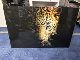 Glasbild Leopard XXL – 120 x 80 cm