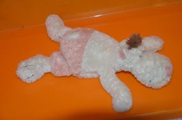 NICI - CM 23