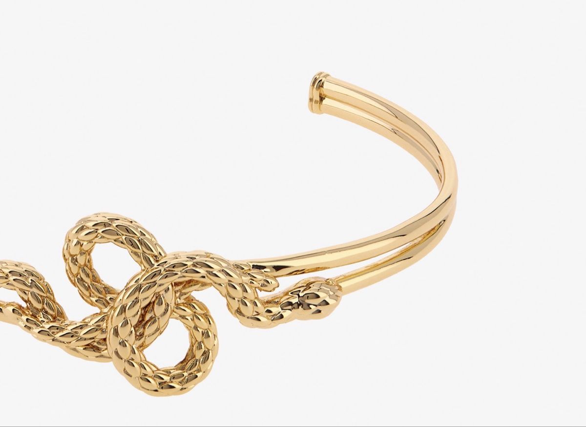 Roberto Cavalli Bracciali & Braccialetti: Just Cavalli Bangle – Nuovo e nell'imballaggio originale da Oberaach venduto da Dandy2021 3
