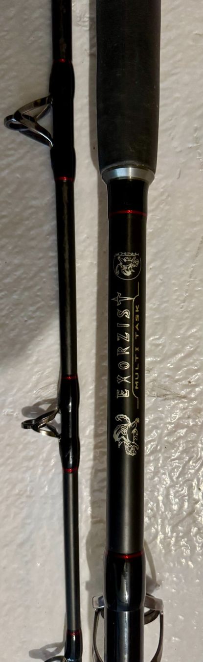 Canne da pesca: Mantikor Exorzist Multi Task Wallerrute 250-450g – Usato da Basel venduto da stan72 2