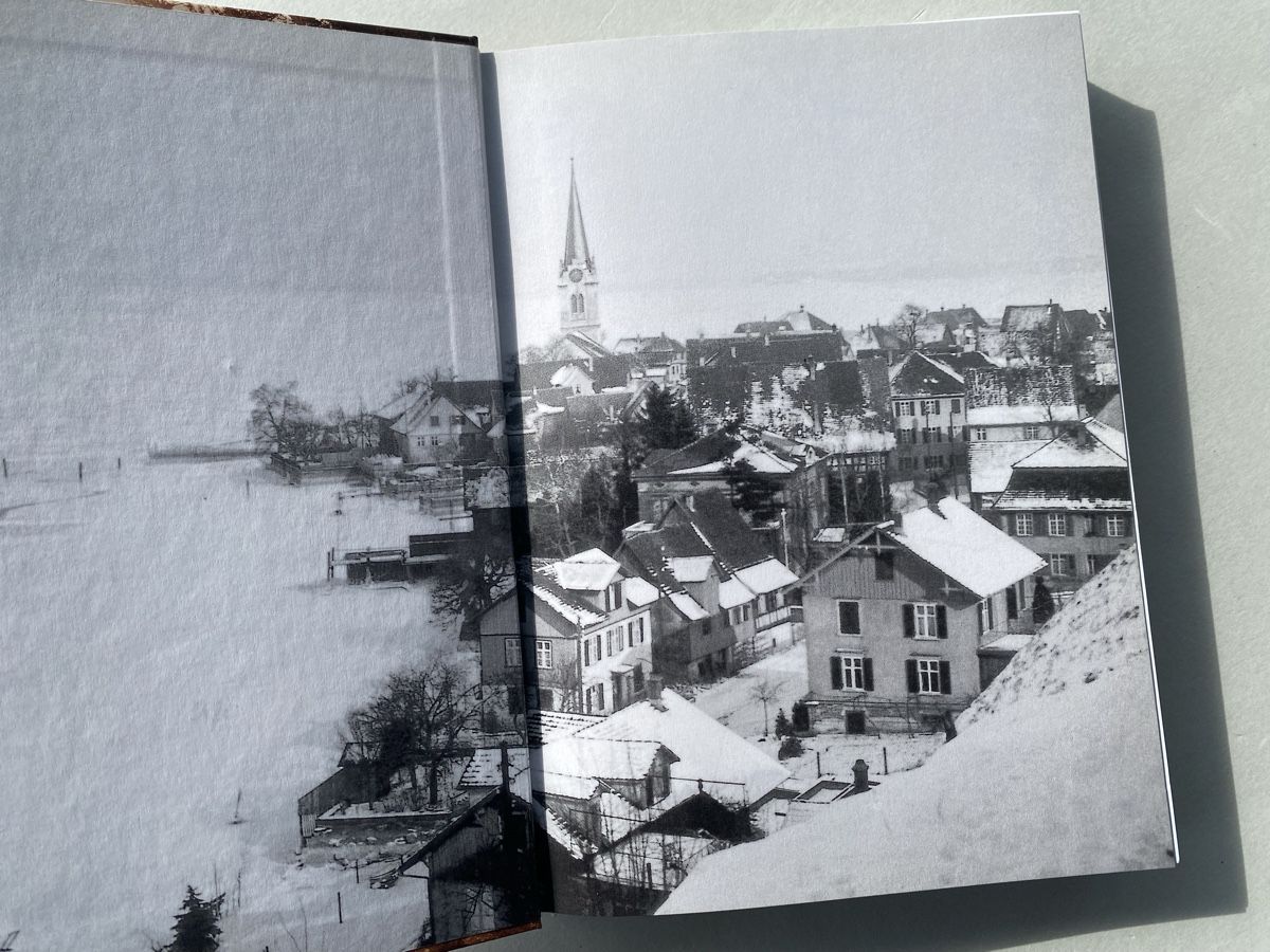 Bücher: Adolf Dietrich Book, Maker-Master Painter, Glossar, Art Book – Gebraucht aus Zürich von Coffeetable88 1