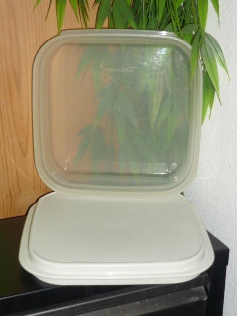 Tupperware Behälter & Ähnliches: TUPPERWARE 17X17 CM. H. 6 CM. CA. – Gebraucht aus St.Gallen von Anso 1
