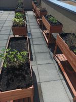 TTL Garden Hochbeet Siena XL inkl. Erde