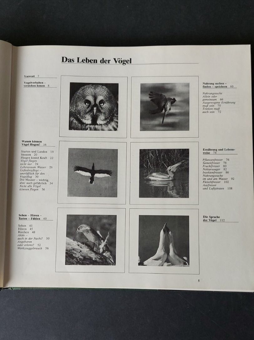 Libri: Das Leben der Vögel /Robert Burton – Usato da Zürich venduto da t24_de 2