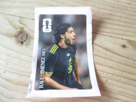 WM 2026 Panini Coca Cola Raul Jimenez