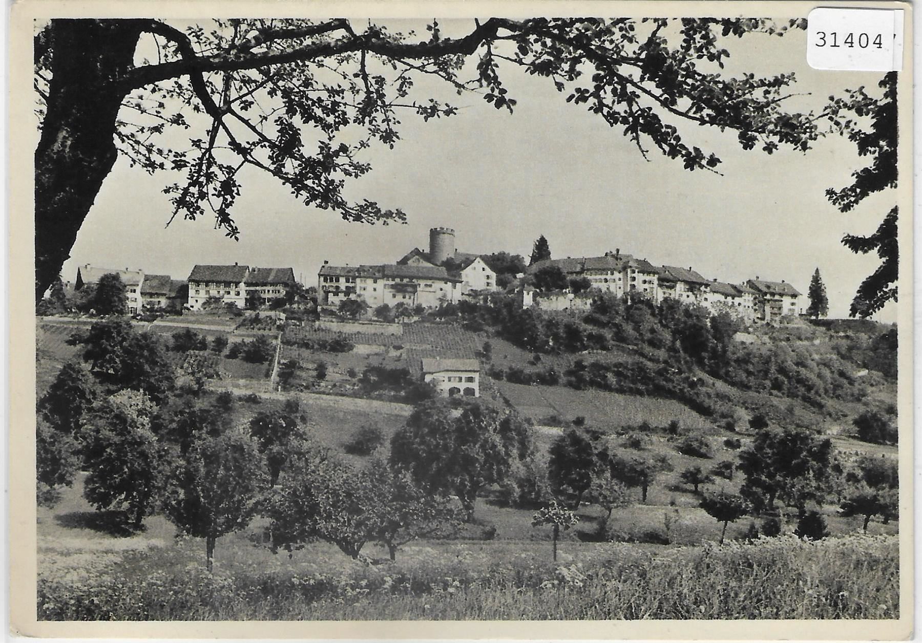 Ansichtskarten: Regensberg - Generalansicht – Gebraucht aus Ettingen von Kartenplanet