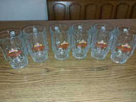 6 Eichhof Lager Bierkrüge Gläser Set, je 3 dl
