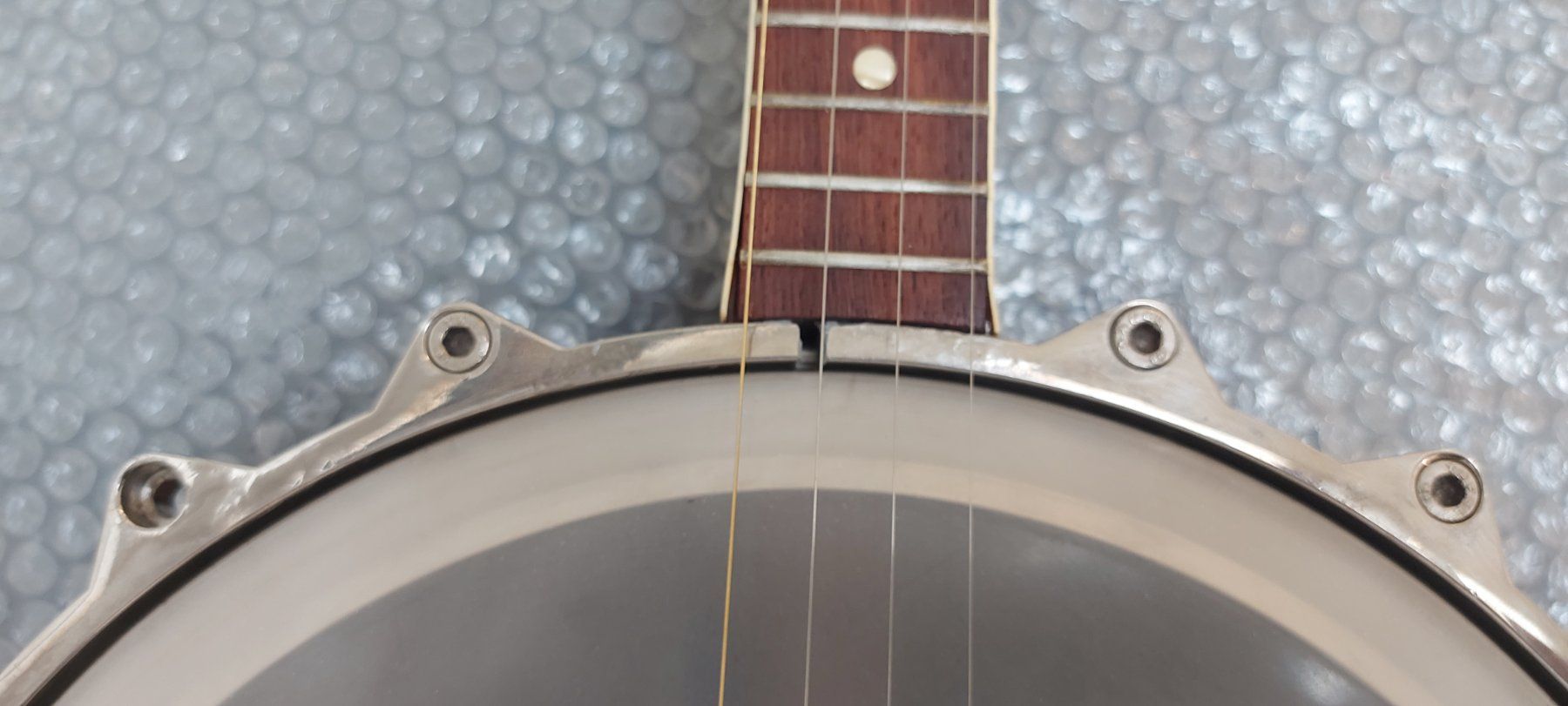 Framus Musikinstrumente: Framus 4-strings Banjo frisch ab service – Gebraucht aus Glattbrugg von Swissmusik 4