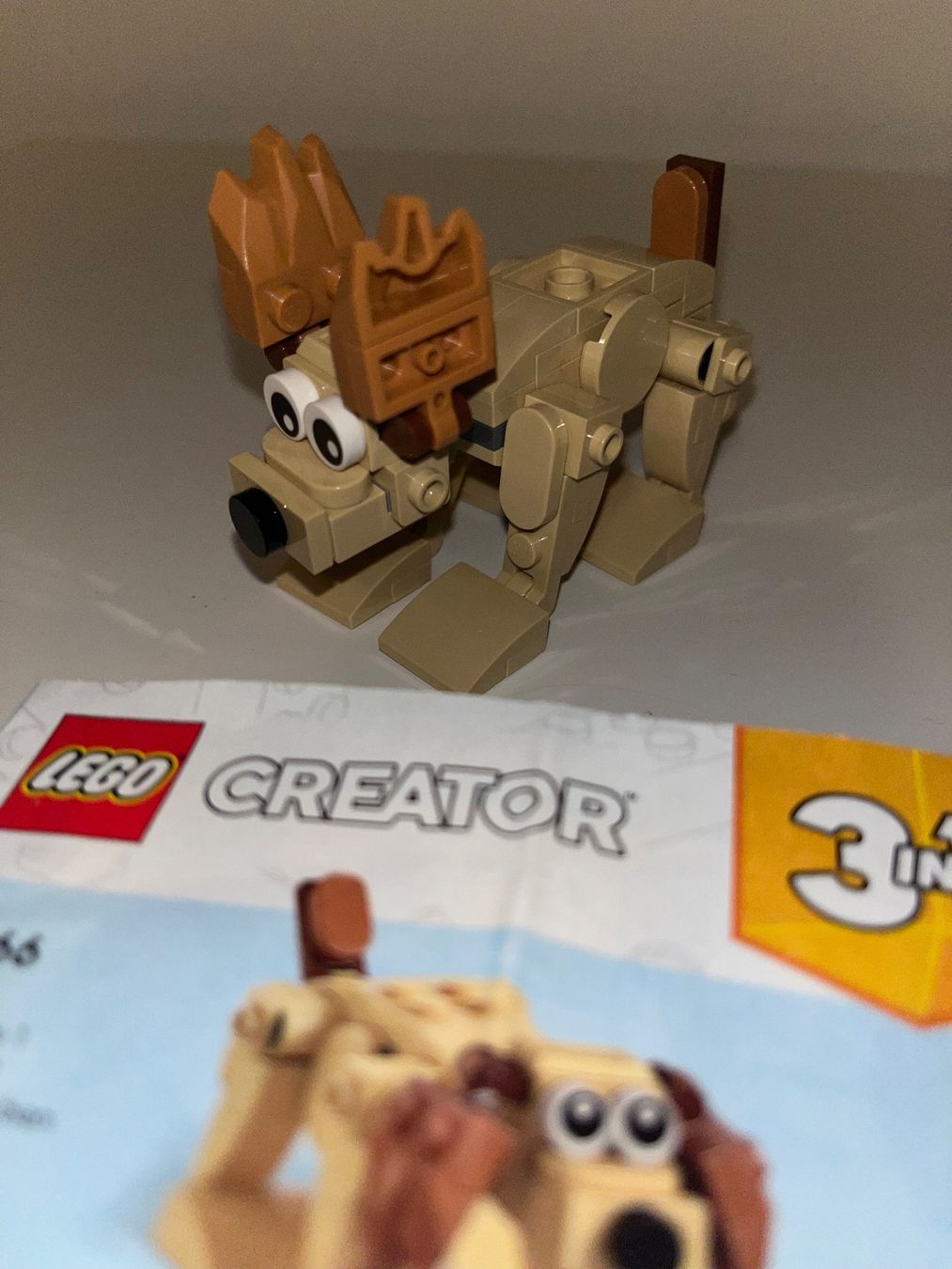Lego Giocattoli: Lego Creator 30666 3-in 1 – Usato da Stäfa venduto da Exclusive0