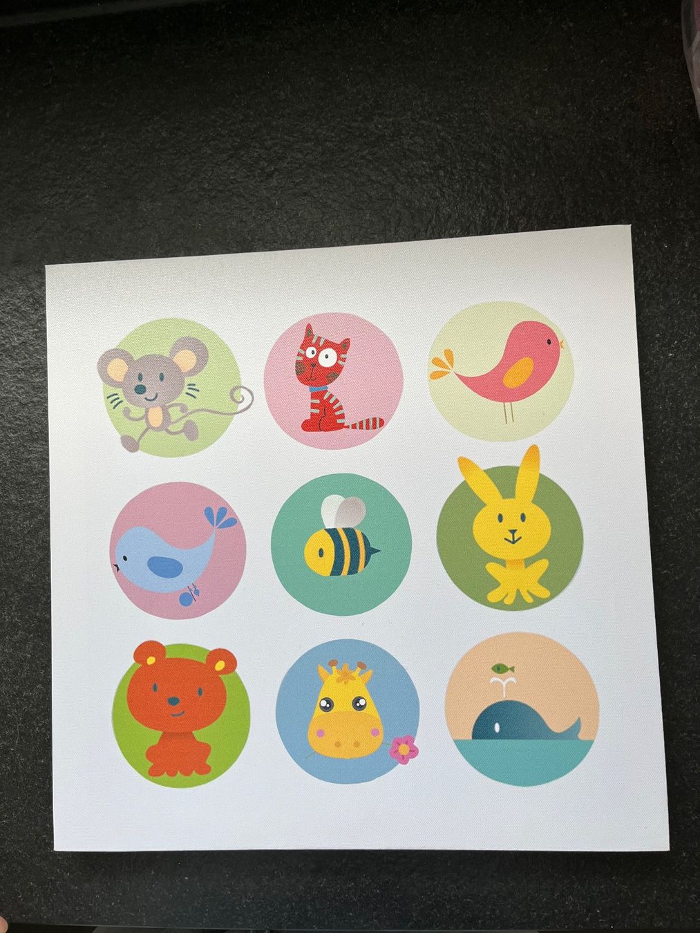 Foto & Immagini: KINDER BILD NEUWERTIG – Usato da Thun venduto da fioruccio