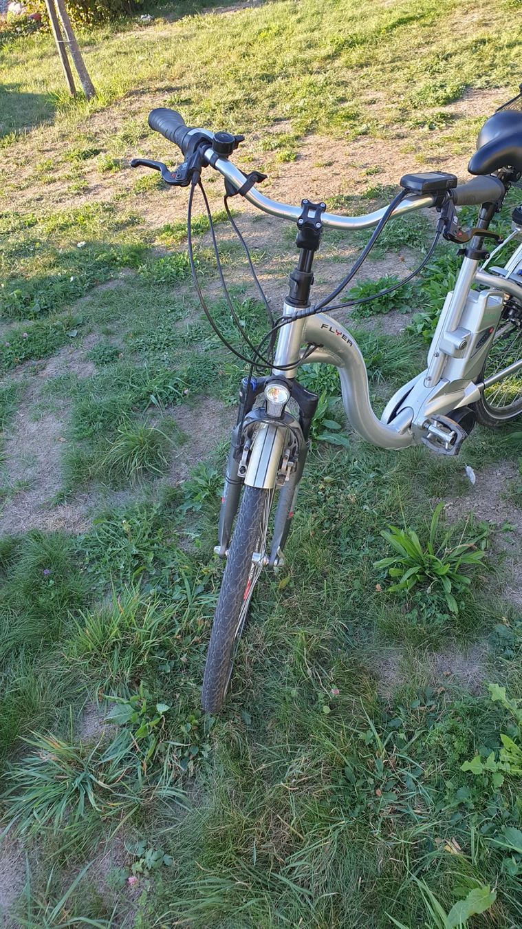 Vélos: Flyer - Elektrovelo – D'occasion à Holziken par Ernst-Karl 4