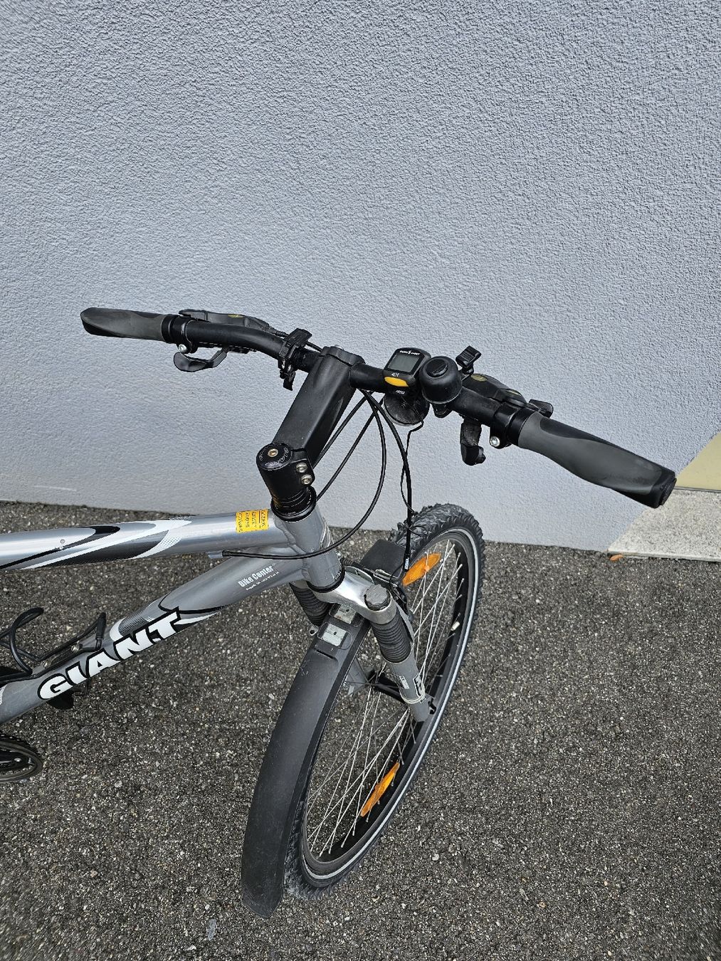 Giant Biciclette: Fahrrad GIANT – Usato da Ruggell venduto da KatjaBuechel 5