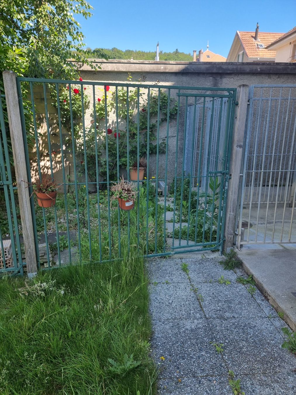 Gabbie, trasporto & Sicurezza: Chenil - barrière en fer extérieur à vendre – Usato da Neuchâtel venduto da cle_j6qj