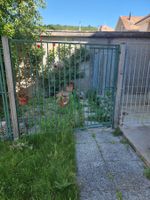 Chenil - barrière en fer extérieur à vendre