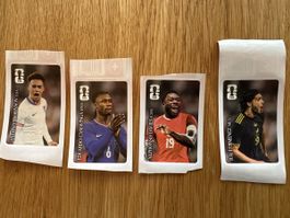 Panini Coca Cola Sticker