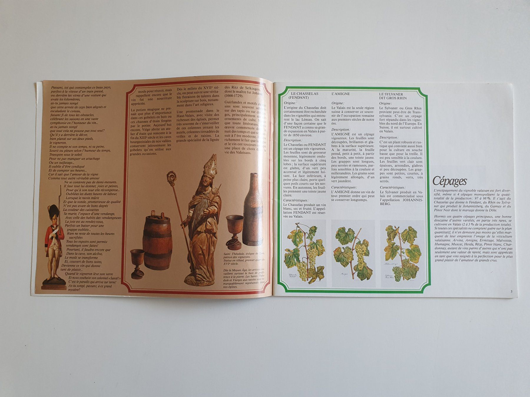 Libri: Vignes et vins du Valais, OPAV, 32 pages – Usato da Martigny venduto da Abm1000 1