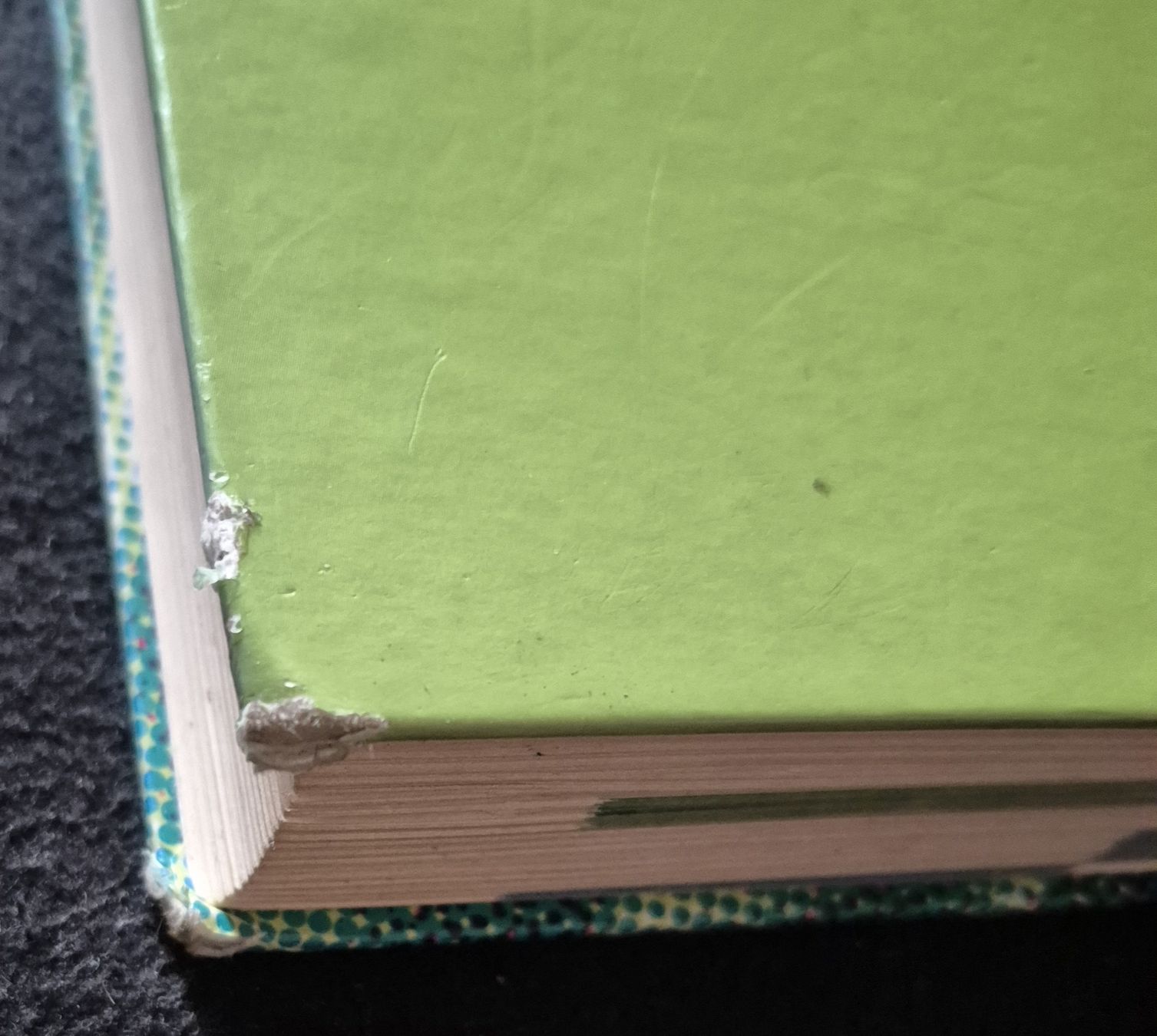 Bücher: Der junge Koch/die junge Köchin Lehrbuch – Gebraucht aus Adliswil von cha_fq9f 6