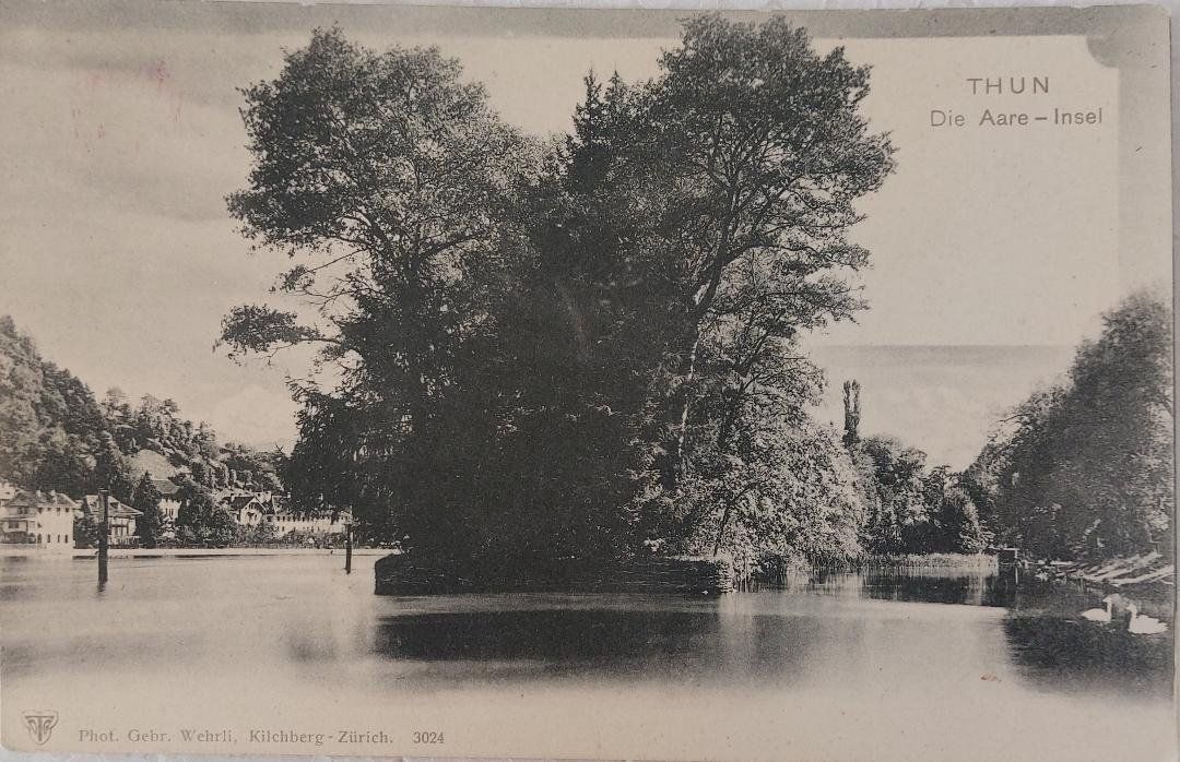 Cartoline postali: THUN  -  Die Aare - Insel – Usato da Delémont venduto da Domdom1