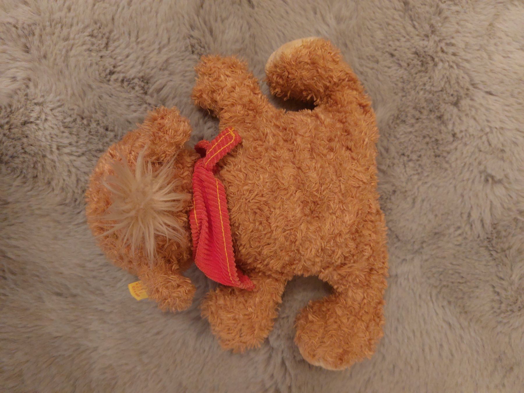 Steiff Jouets: Stoffbär von Steiff – D'occasion à Allschwil par cat_nmt7 2