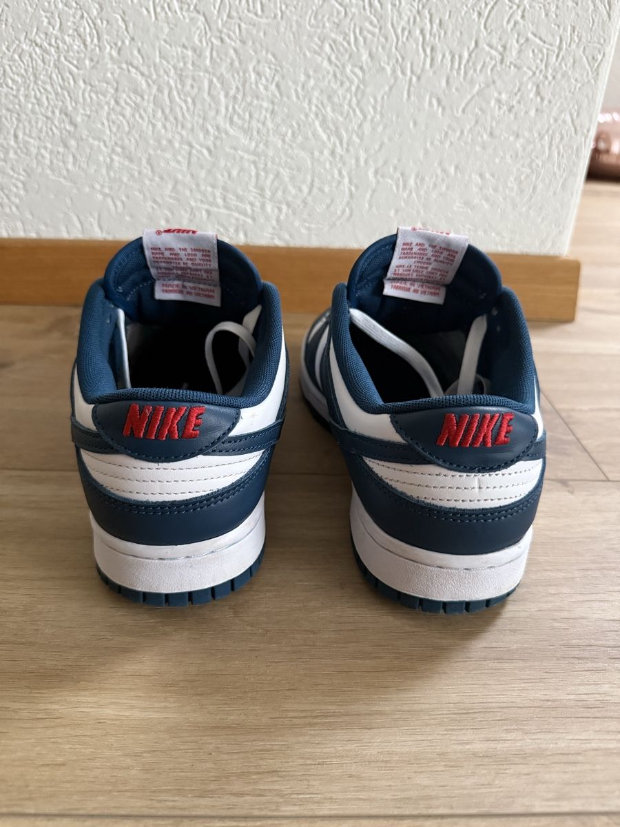 Nike Scarpe da uomo: Nike Dunk Low Retro – Usato da Boppelsen venduto da lev_85hh 2