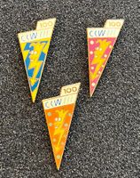 Pin 100 Jahr   CKW