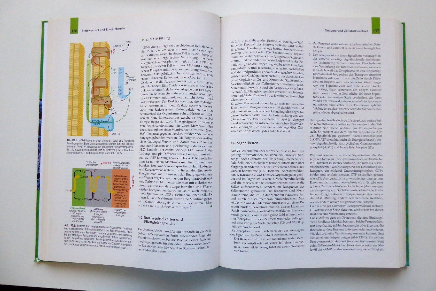 Libri: LINDER Biologie - Klassiker – Usato da Wettingen venduto da tonia3 3