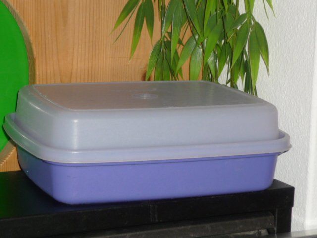 Tupperware Contenitori & Simili: TUPPERWARE 24X19 CM. H. 8 CM. CA. – Usato da St.Gallen venduto da Anso 2
