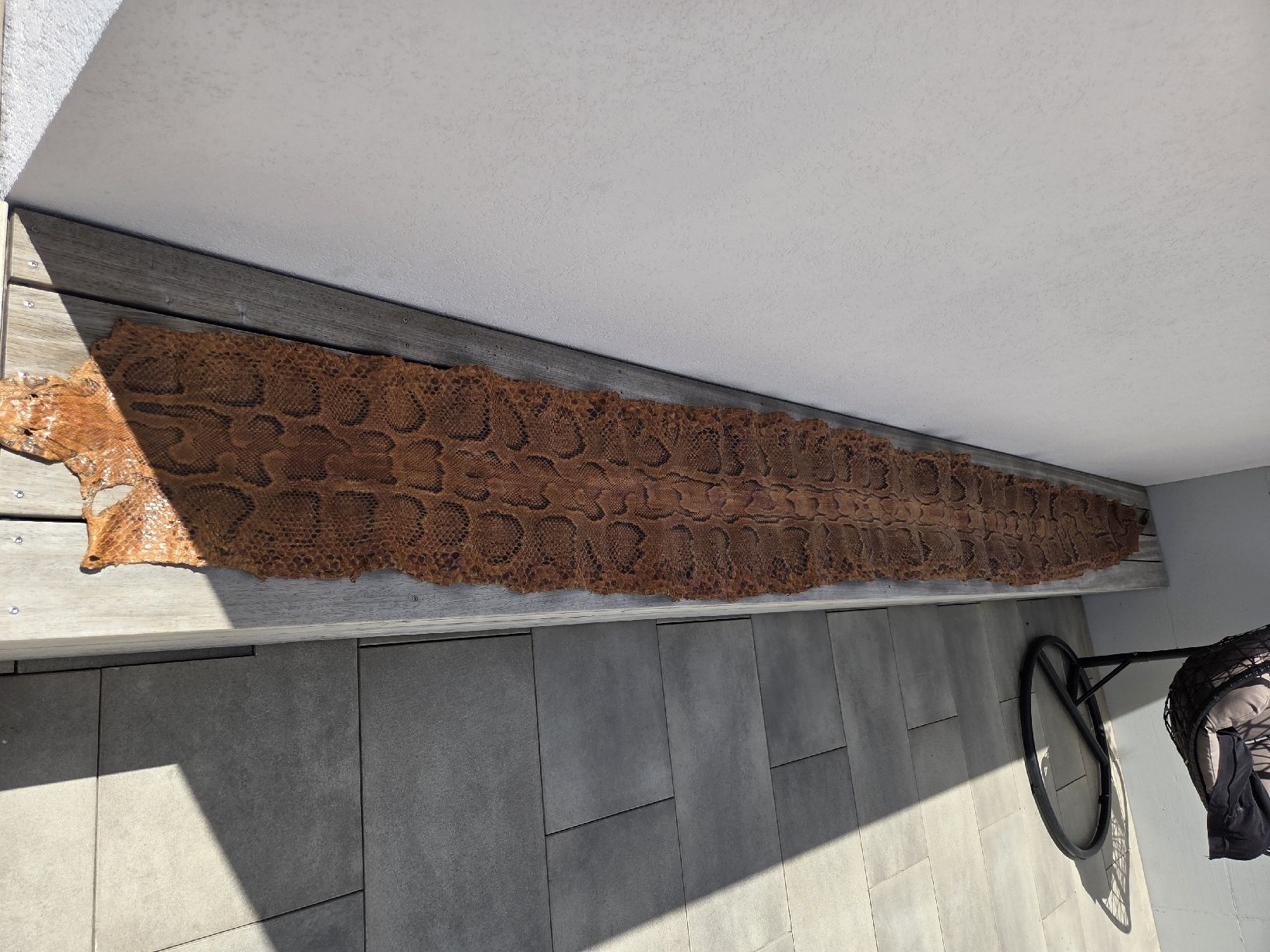 Tessuti: Schlangenhaut Python braun gemustert ca. 450 cm – Nuovo (secondo la descrizione) da Kreuzlingen venduto da gogi3 2