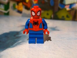 Lego Minifigur Spider-Man mit kurzen bew. Beinen