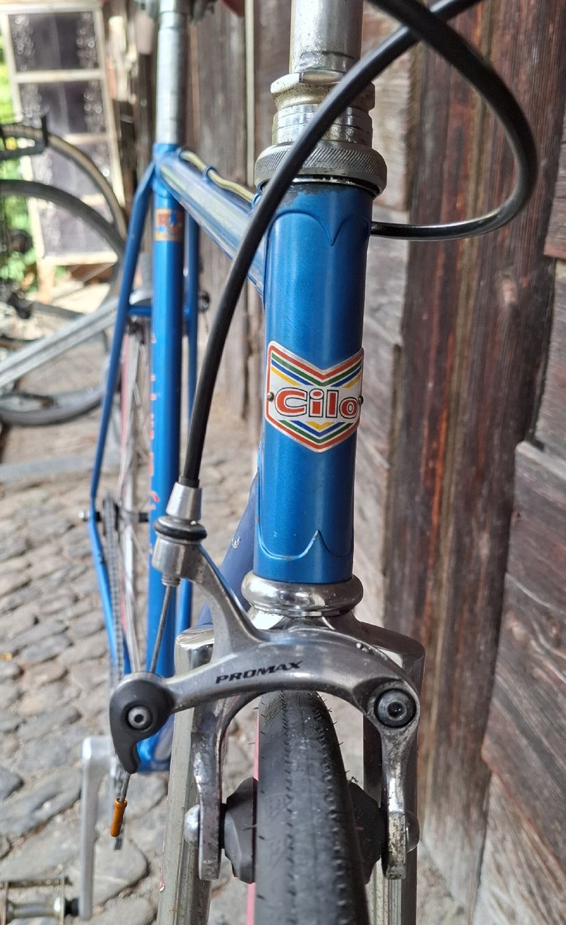 Cilo Biciclette: Cilo singlespeed in Gr M – Usato da Adliswil venduto da trujillo01 6
