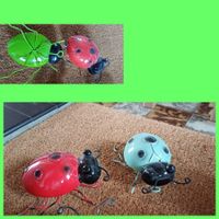 coccinelles* célèbre làmour *Prüfungskäferli tolles Geschenk