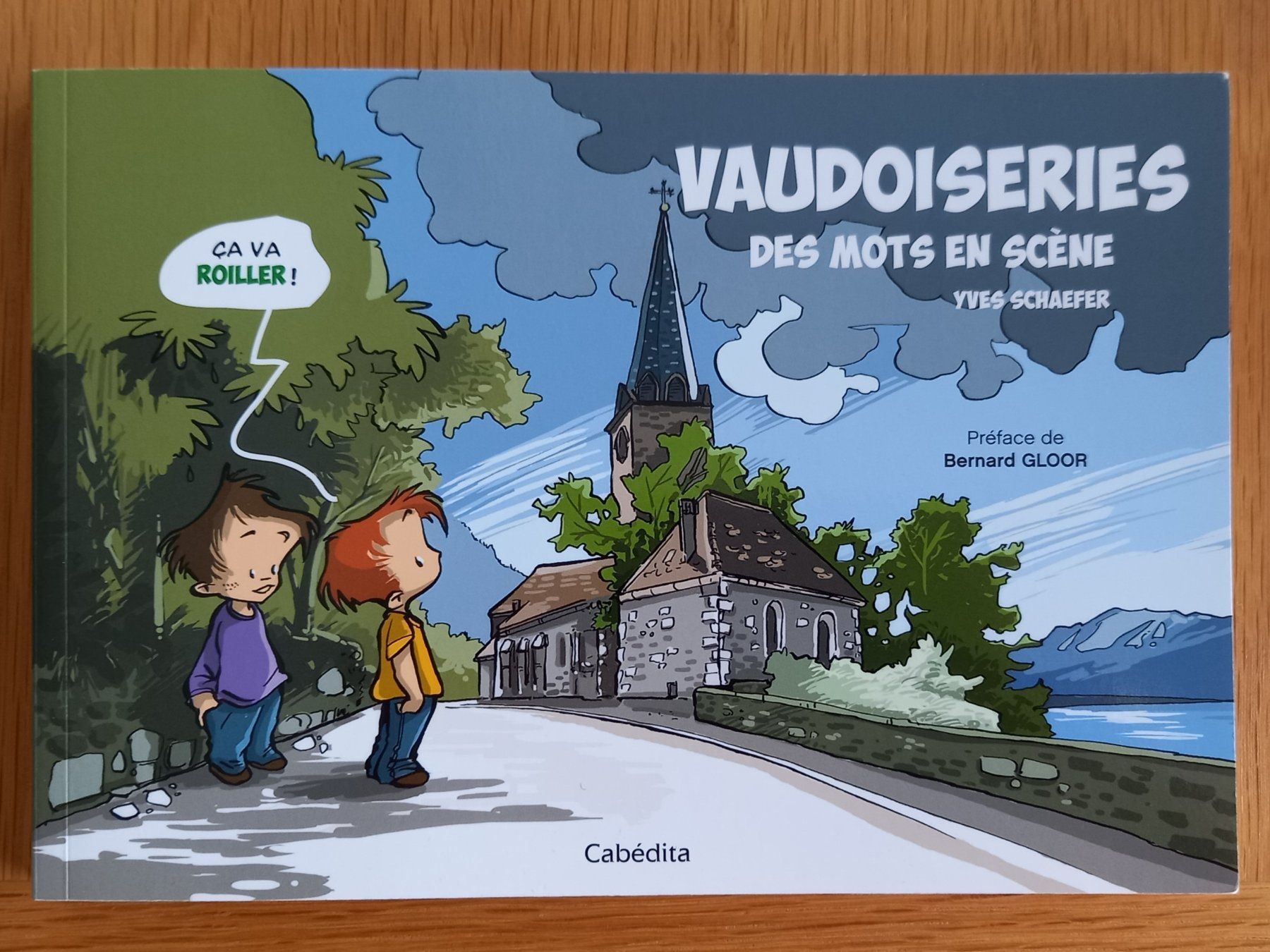 Fumetti: VAUDOISERIES - des mots en scène – Nuovo (secondo la descrizione) da Bern venduto da scorpionmaximus