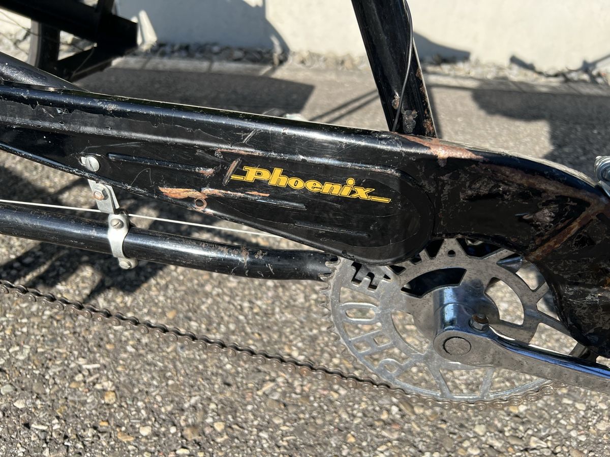 Biciclette: Rikscha Phoenix mit Verdeck zum abnehmen  – Usato da Härkingen venduto da Mada90 5