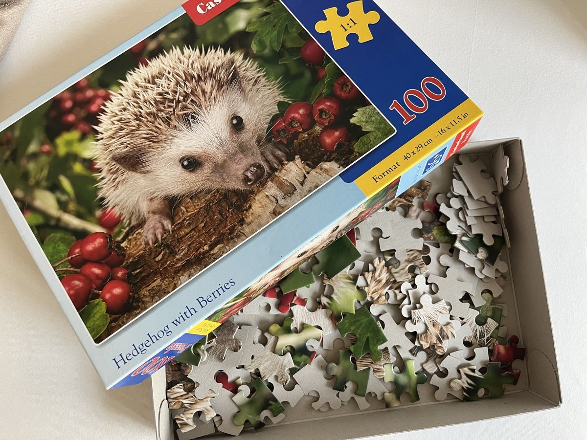 Puzzle: Puzzle 100 tlg – Usato da Stäfa venduto da Exclusive0 2
