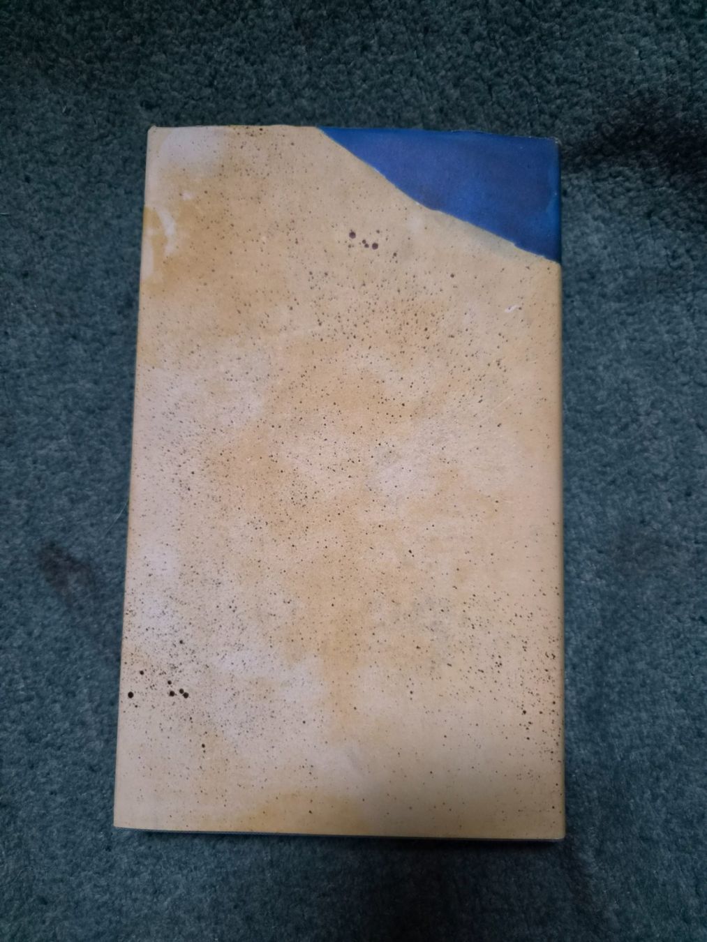 Libri: Buch Simone in der Bretagne – Usato da Regensdorf venduto da Mischa88 1